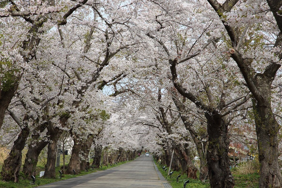 🏯 마쓰마에 번 헤키리치 진야 터 (마쓰마에한 헤키리치 진야아토) 이미지 3